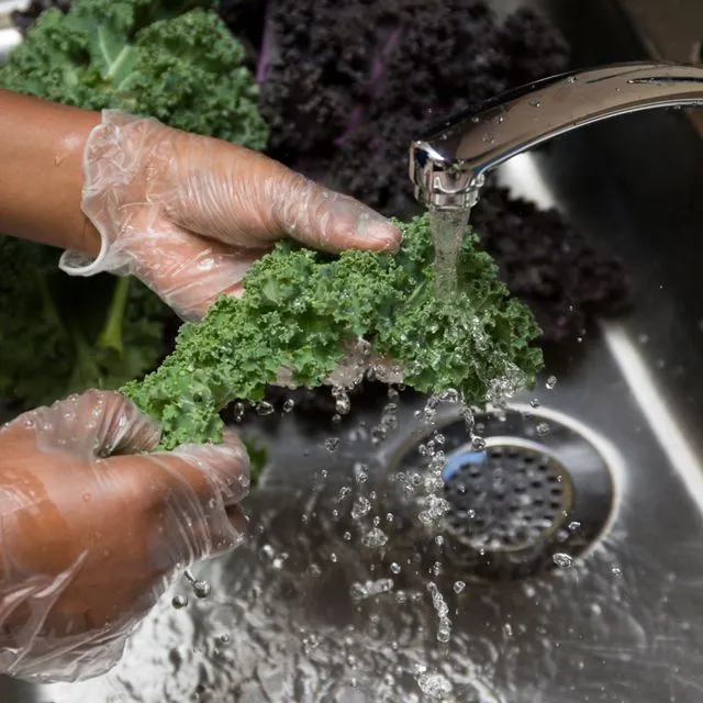 thumbnail for publication: Food Safety on the Farm: Good Agricultural Practices and Good Handling Practices—Manure and Municipal Biosolids